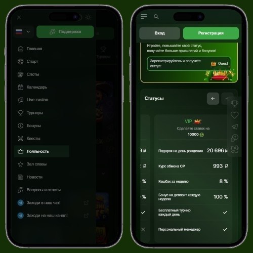 ВИП программа